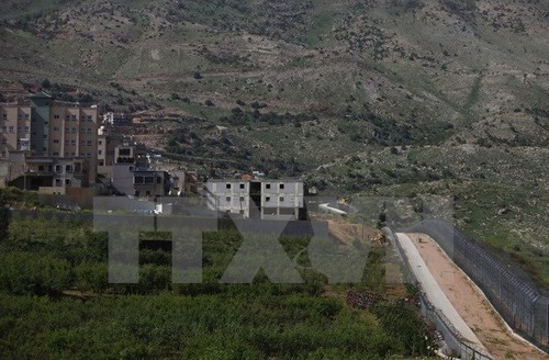 Sondersitzung der OIC über die Eskalation auf den Golan-Höhen - ảnh 1